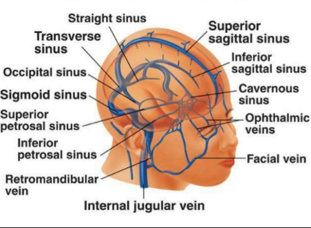 Centrum Semiovale Stroke